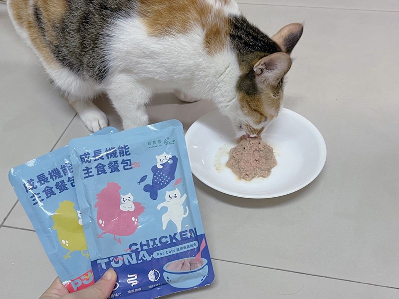 試用